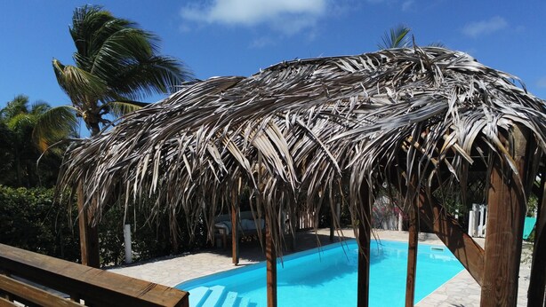 Un espace piscine agrémenté d’une structure avec toit de chaume, d’une piscine à l’eau d’un bleu limpide et de palmiers environnants.