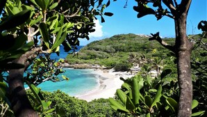 Une plage aux eaux turquoise et limpides, bordée d’une végétation luxuriante et avec des collines en arrière-plan.