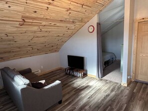 TV, DVD player, video library