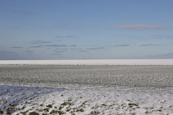 A vast, flat landscape with a clear sky.