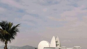 A modern building with a unique architectural design, featuring curved white structures and a palm tree in the foreground. - Longxiang Hotel (Zhuhai)