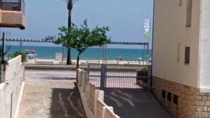 Une vue d’une plage, avec un ciel dégagé, des palmiers et des gens qui se baignent.