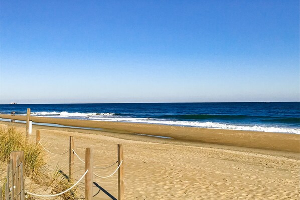 Beach nearby - Sunny condo 2 blocks from beach with fast WiFi & W/D - dog-friendly (Ocean City)