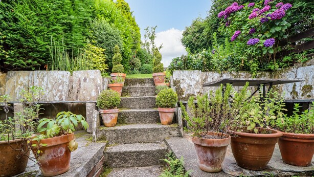 Eine Treppe aus Stein führt zu einem Gartenbereich mit verschiedenen Blumentöpfen und einer hölzernen Bank.