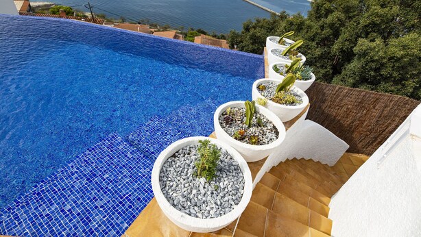 Une piscine dont le bord est orné de mosaïques bleues, entourée de jardinières blanches dans lesquelles sont plantées différentes espèces végétales.