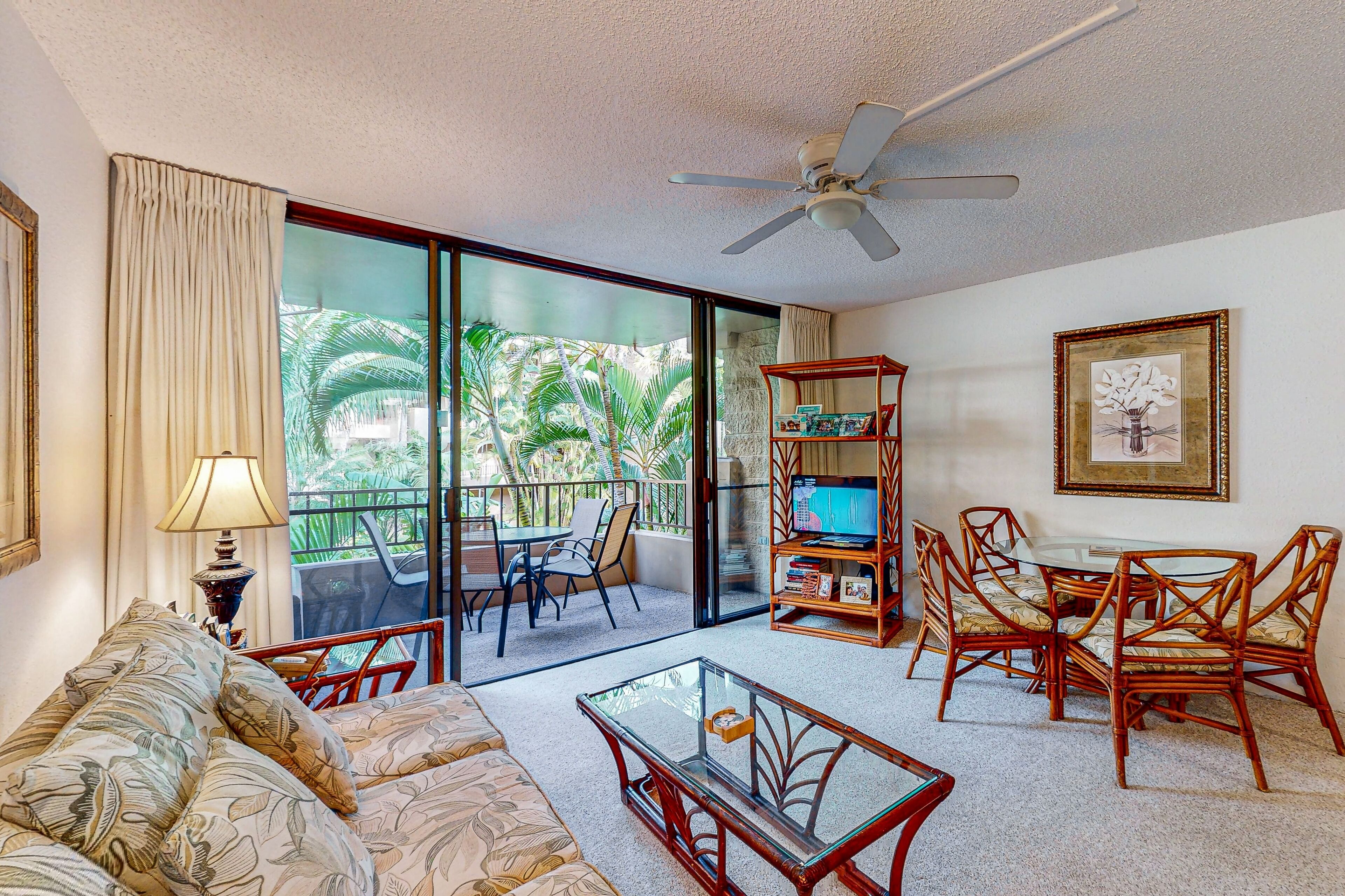 TV, DVD player, books