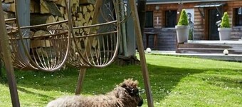 Gîte de la Vallée near Treport