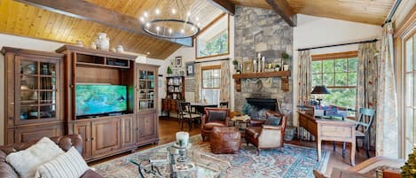 TV, fireplace, DVD player, books