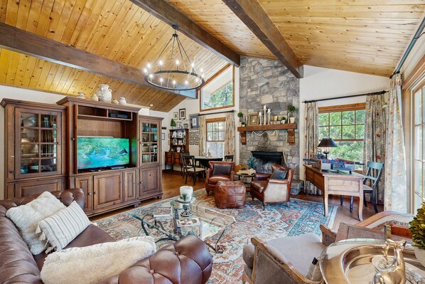 TV, fireplace, DVD player, books