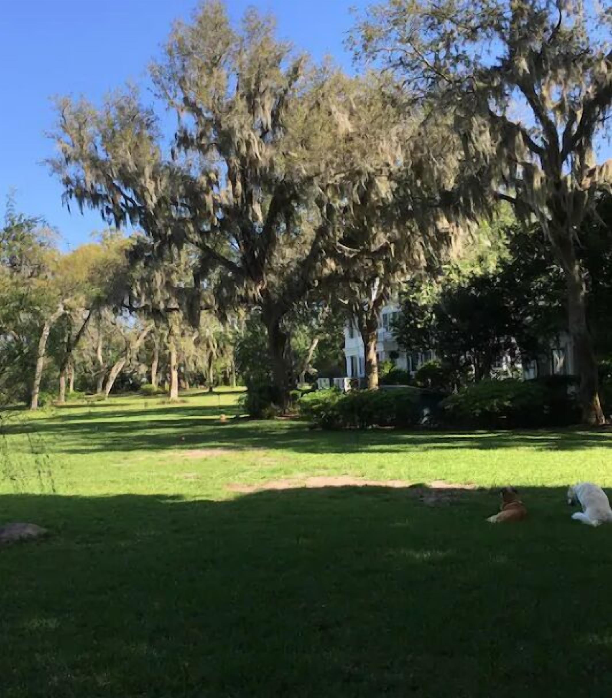 A grassy park area with mature trees and a pathway.