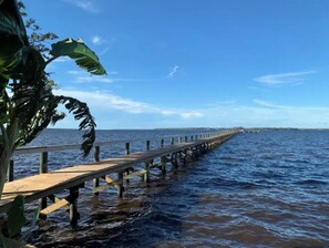 Eine hölzerne Pier, die sich in ruhiges Wasser erstreckt, umgeben von üppigem Grün.