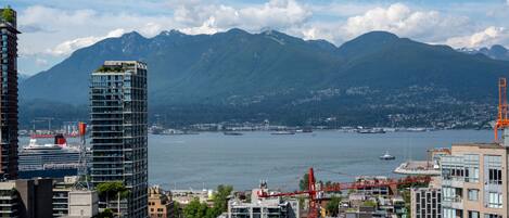 Vista desde la propiedad