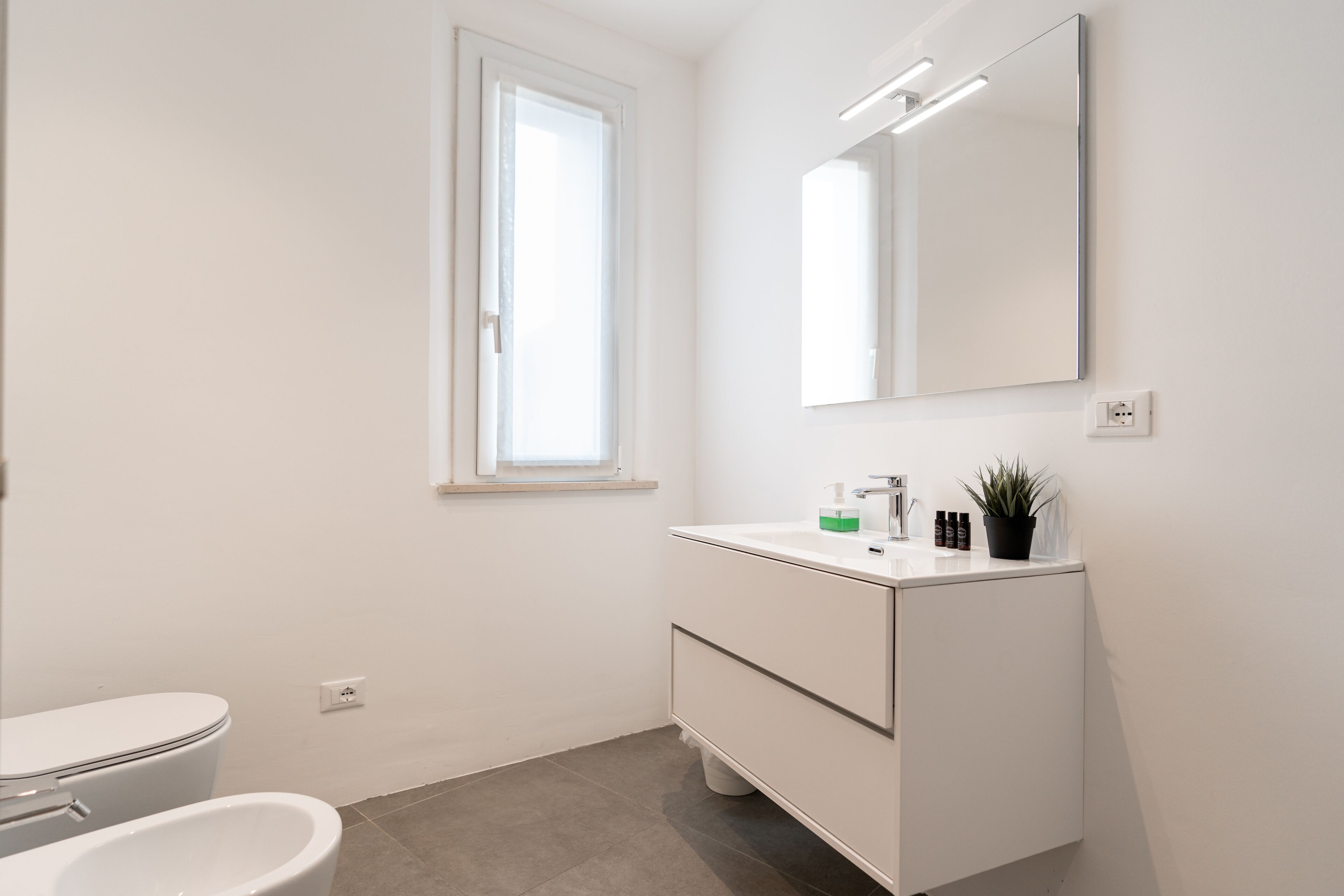 A modern bathroom with a toilet, bidet, white vanity, mirror, and a small potted plant.