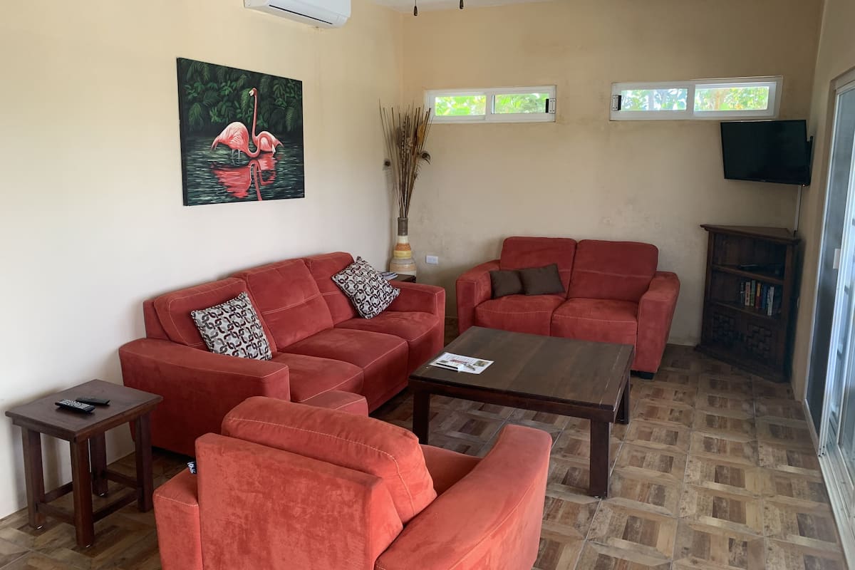 A living room with two red sofas, a coffee table, a small side table, a painting of flamingos, and a television on a stand.