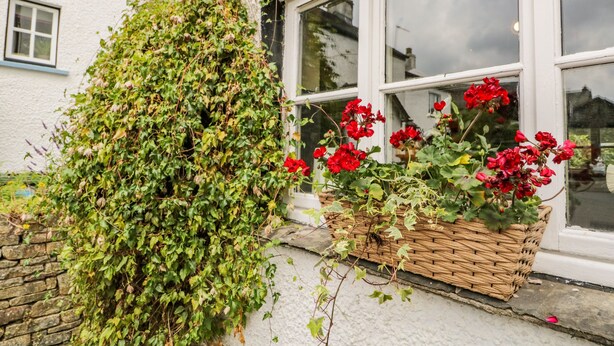 A white building with a window, a stone wall, and a large green ivy plant.