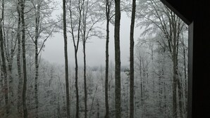 A forest with tall trees and a foggy atmosphere. - Private Cabin (Morganton)