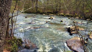 A river flowing through a forested area with rocks and trees. - Private Cabin (Morganton)