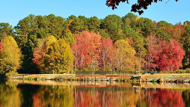 A calm lake reflecting colorful autumn trees. - Private Cabin (Morganton)
