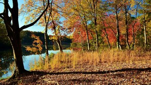 A serene lakeside scene with autumn foliage, a clear sky, and a calm water body reflecting the trees.