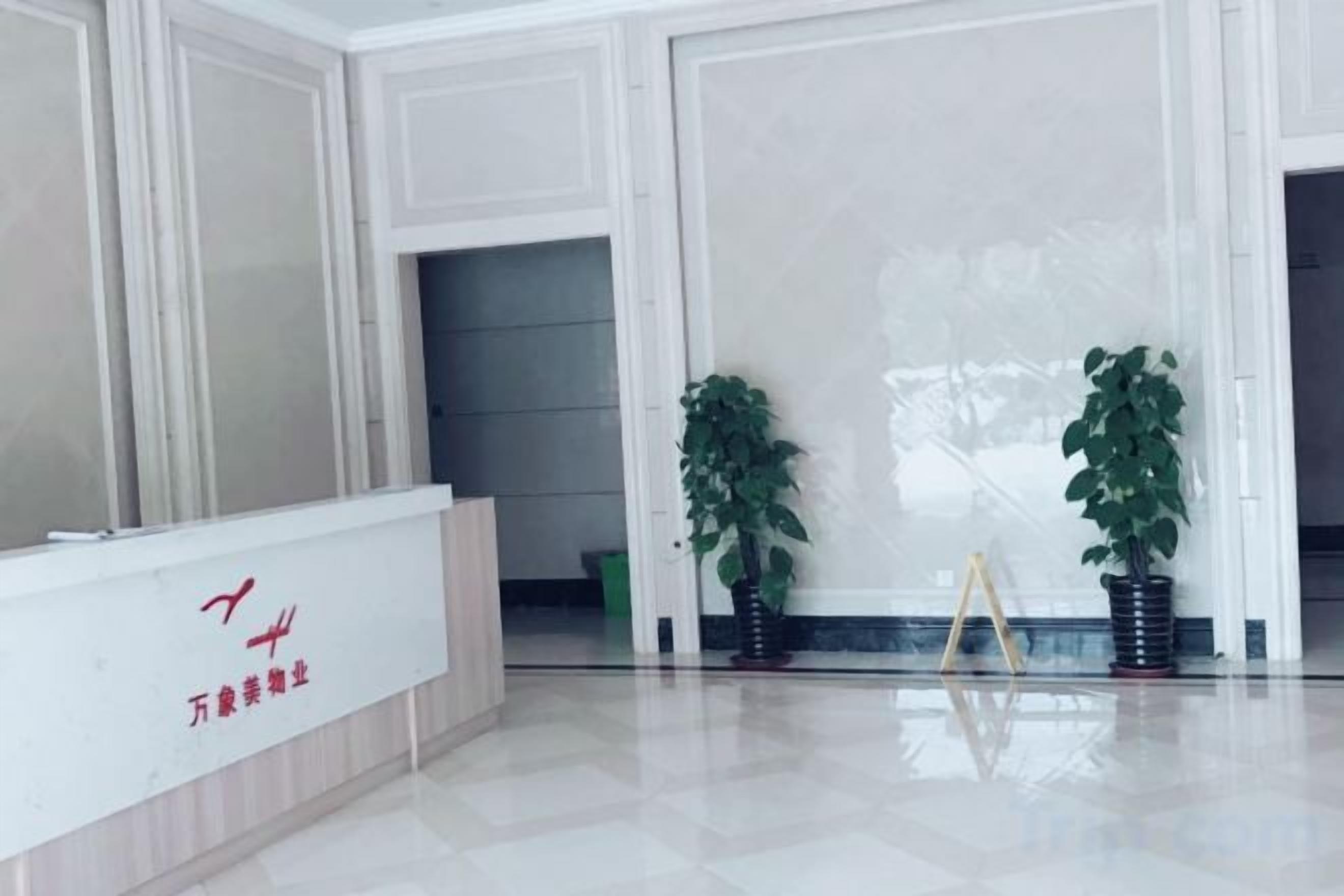 A reception area with a reception desk, two potted plants, and a large mirror reflecting the room.