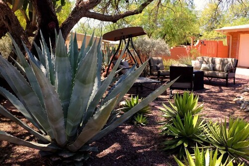 Desert Escape with Pool, Hot Tub & Mountain Views
