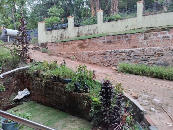 Property grounds - Natural forest surrounding area. (Yellapur)