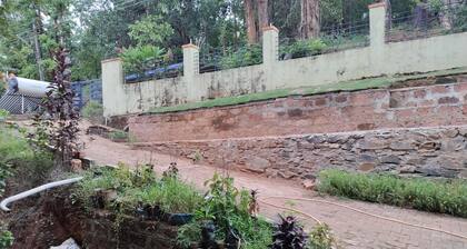 Natural forest surrounding area.