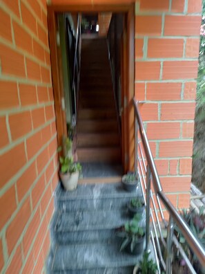 Exterior detail - Natural forest surrounding area. (Yellapur)