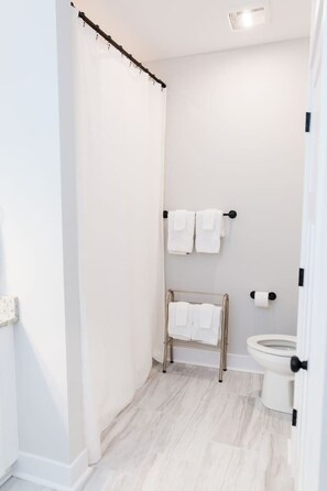 Hair dryer, soap, shampoo, toilet paper