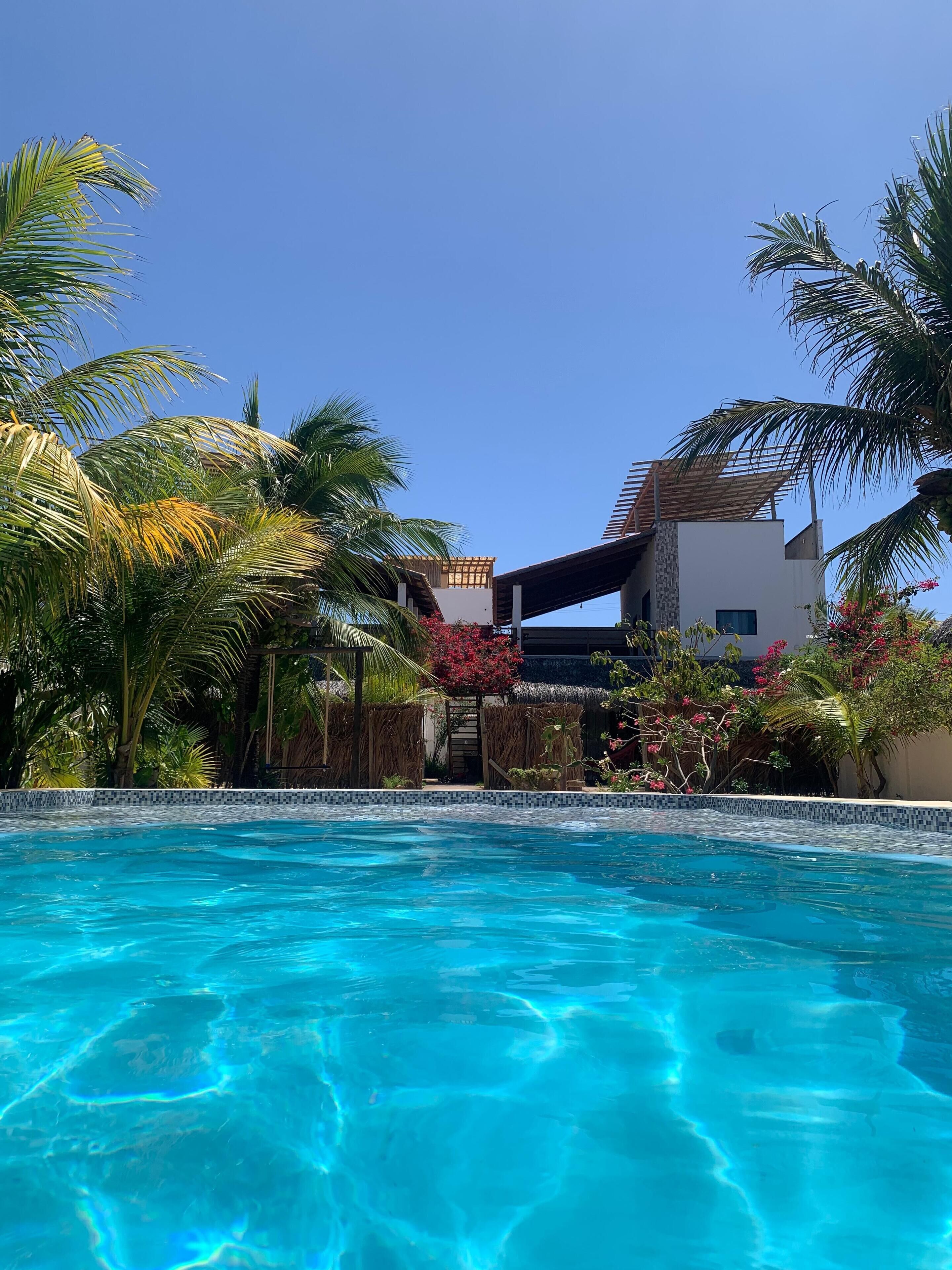 Uma piscina azul límpida cercada por palmeiras e uma casa moderna com um deck de piscina em mosaico.