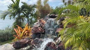 Une cascade d’eau se déversant sur des rochers, le tout entouré d’une végétation tropicale.