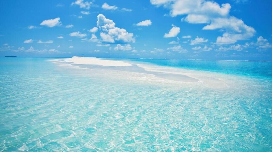 パーム・ゲート・モルディブ