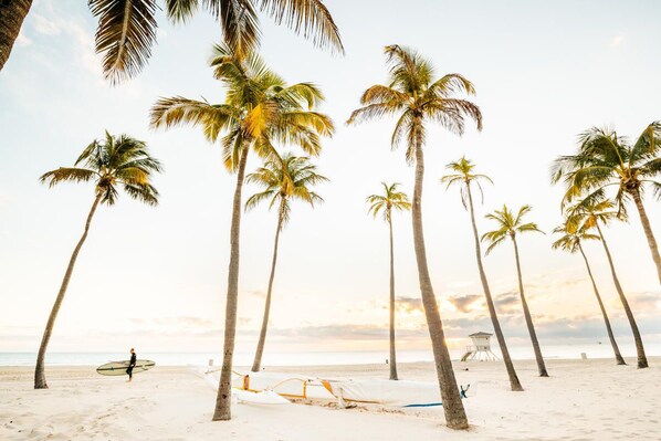 Enjoy a tranquil beachside retreat with access to the ocean and stunning views of palm trees.