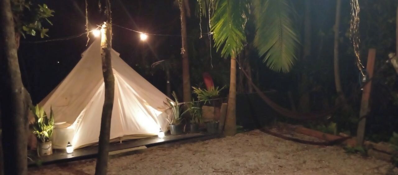 A tent illuminated by string lights in a forested area.
