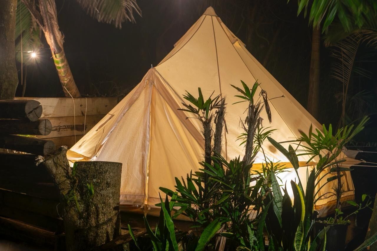 Une structure en forme de tente, dotée d’un toit conique, entourée de plantes tropicales et d’une bûche en bois.