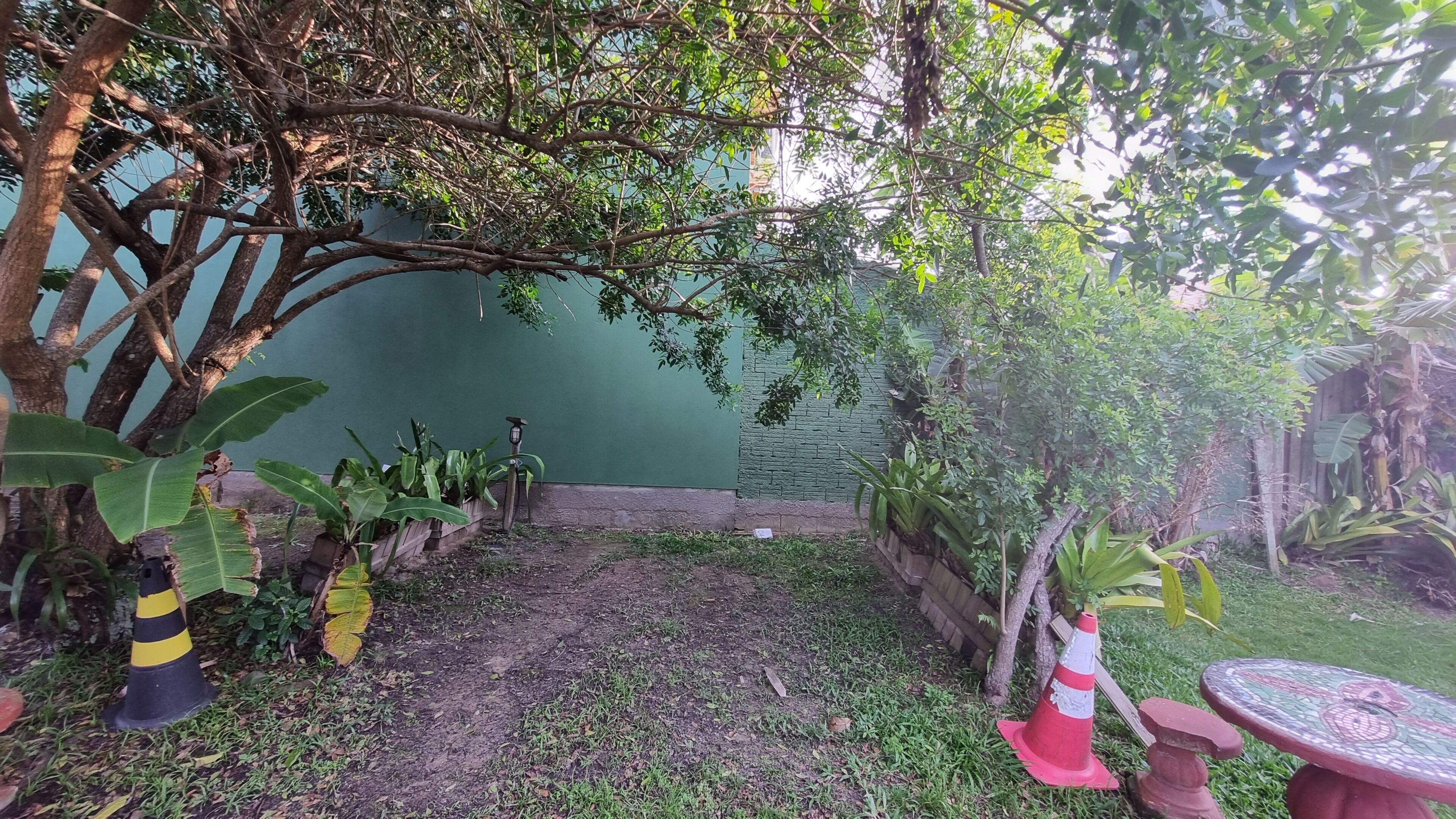 A garden area with a dirt path, potted plants, and a green wall.