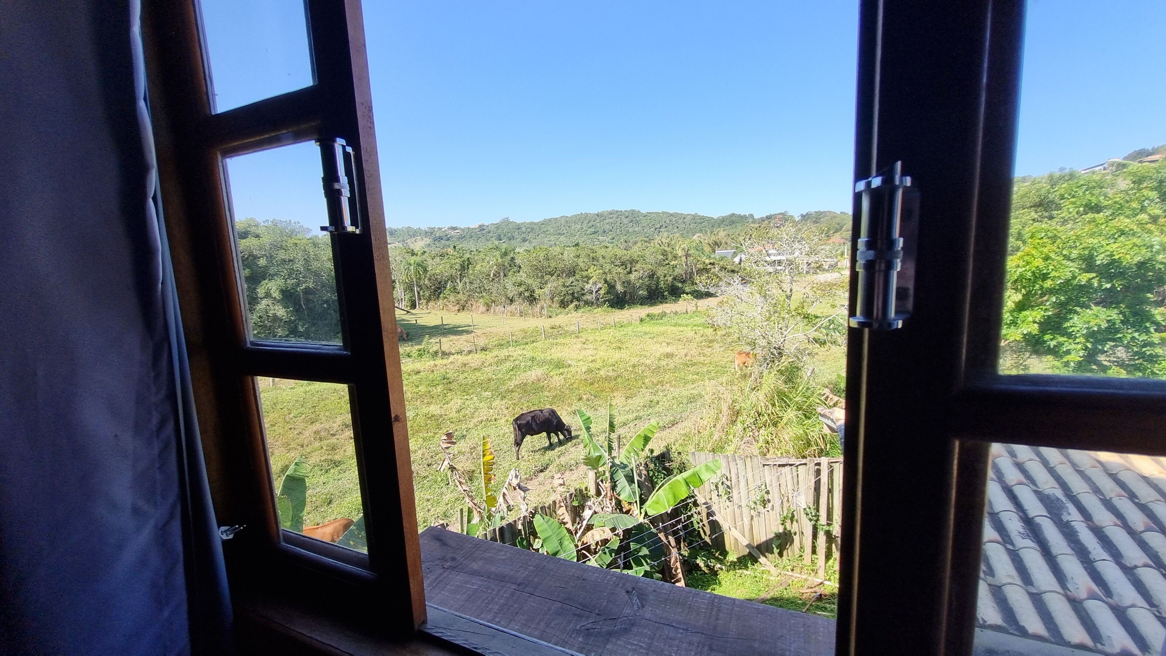 A view from a window with a wooden frame, overlooking a grassy field with a cow grazing, surrounded by trees and hills.