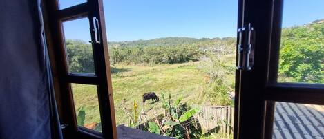 A view from a window with a wooden frame, overlooking a grassy field with a cow grazing, surrounded by trees and hills.