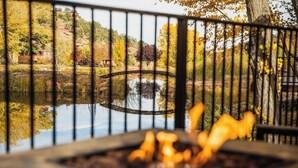 Un foyer extérieur avec vue sur un étang et des arbres.