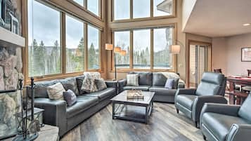 TV, fireplace, books