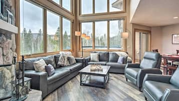 TV, fireplace, books