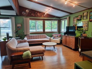 TV, books, offices, computer monitors