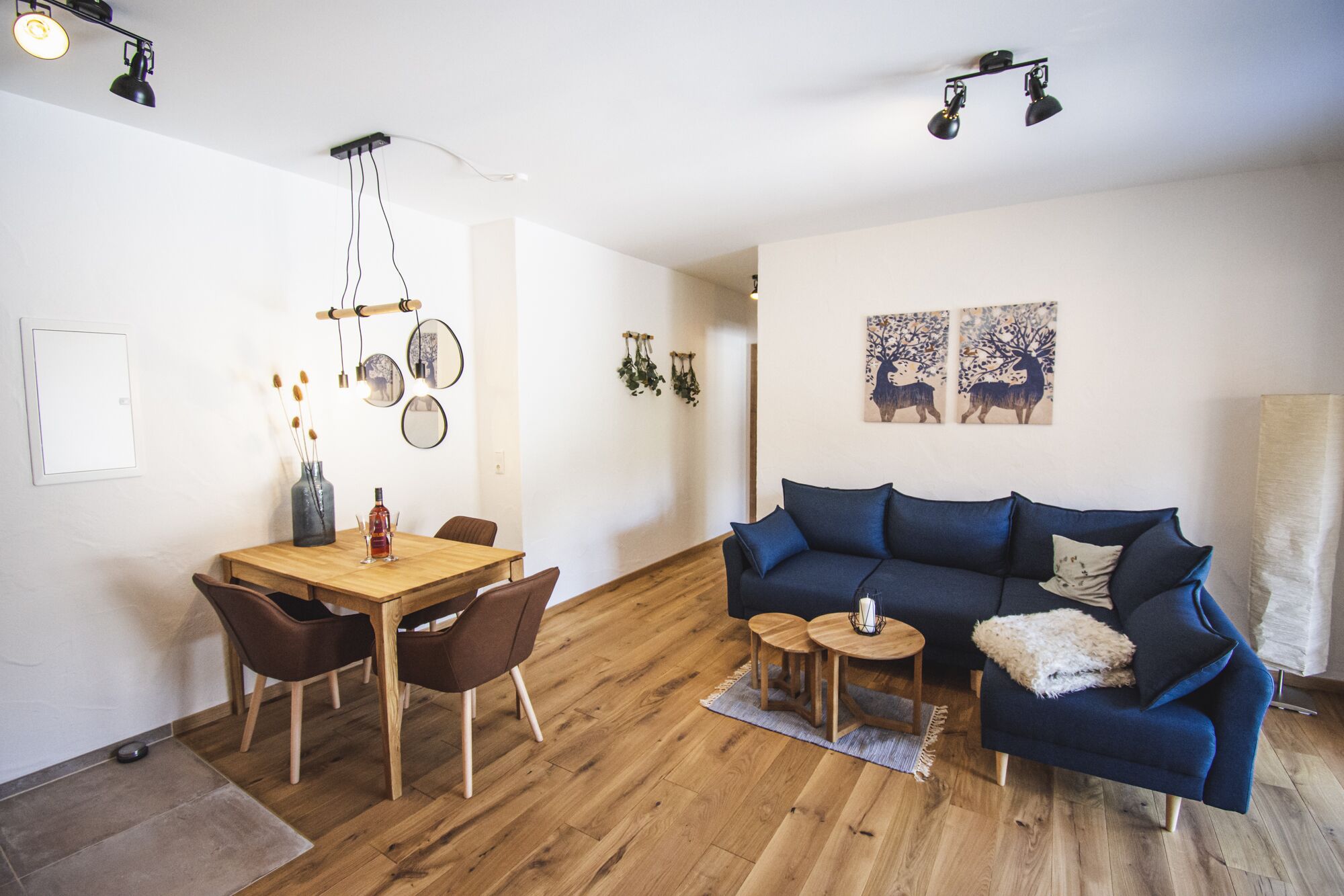 电视