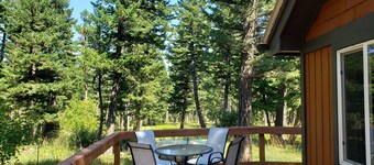 Remote cabin on 40 acres with wildlife and no distractions.