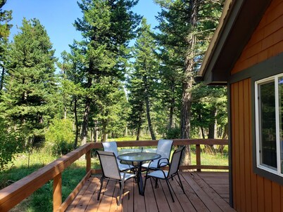 Remote cabin on 40 acres with wildlife and no distractions.