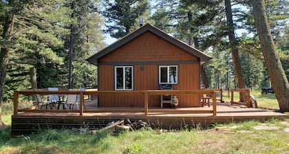 Remote cabin on 40 acres with wildlife and no distractions.