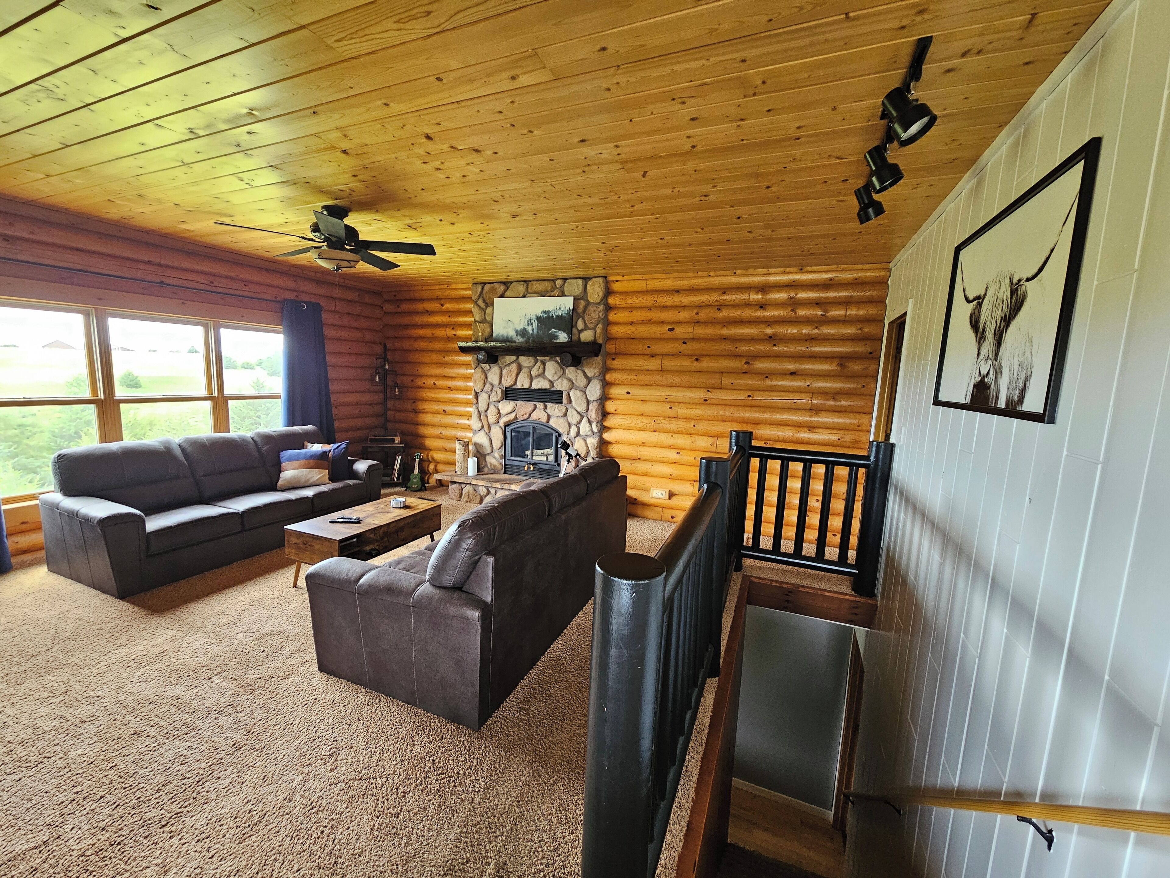 Smart TV, fireplace, DVD player, books