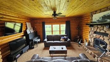 Smart TV, fireplace, DVD player, books