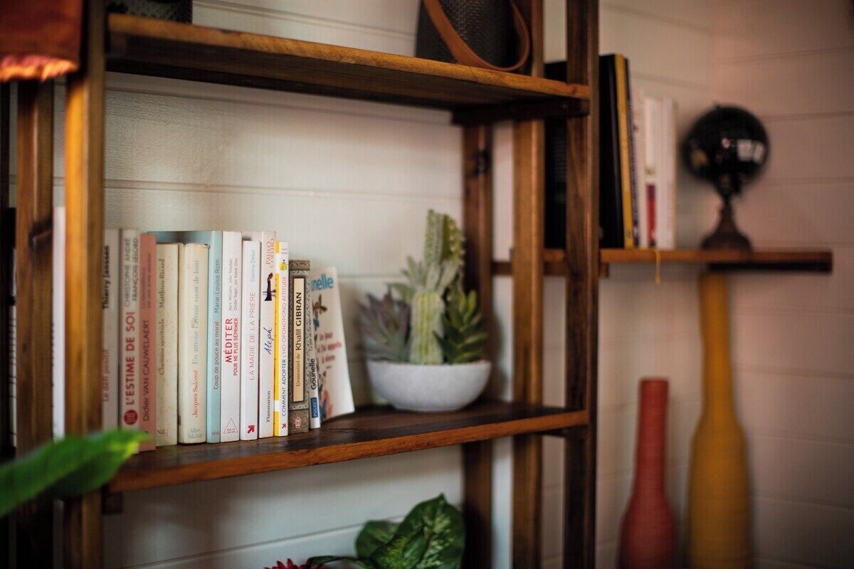 Una estantería con libros y una pequeña planta en maceta.