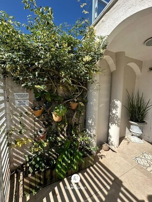 Appartement Premium, patio, vue jardin | Vue sur le jardin